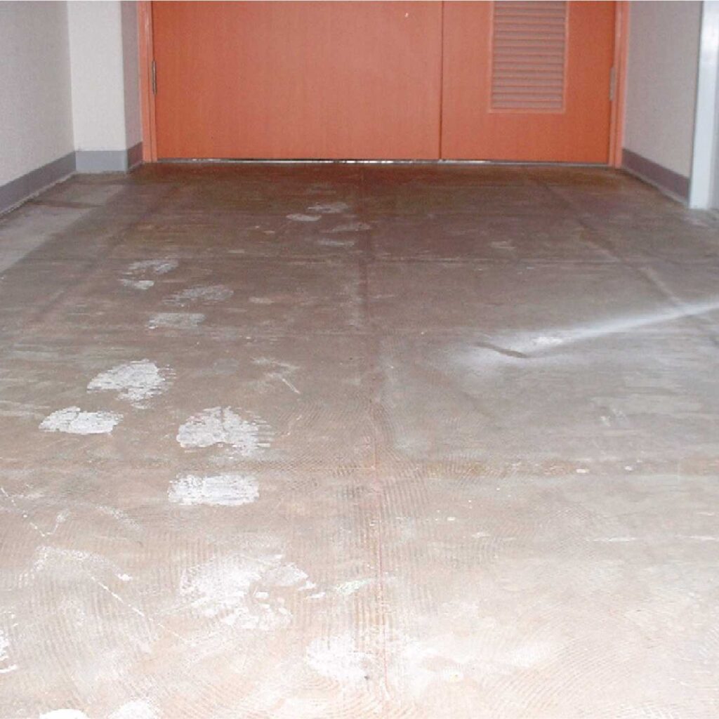 画像コンテンツ